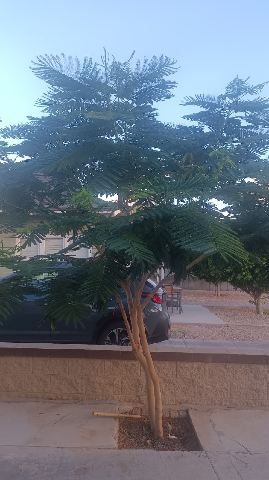 AZ India